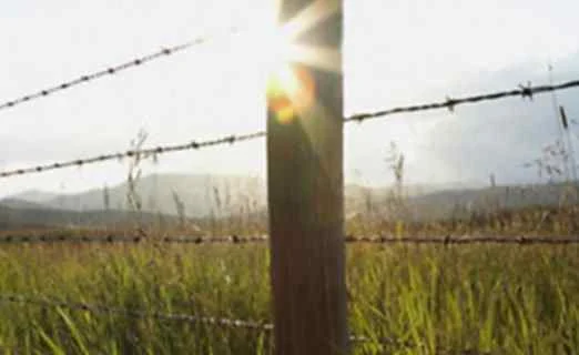 Barbed Wire