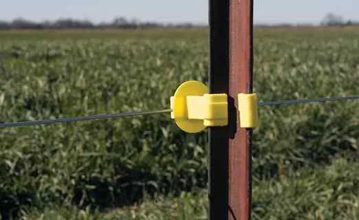 Yellow electric fence insulator mounted on a steel post