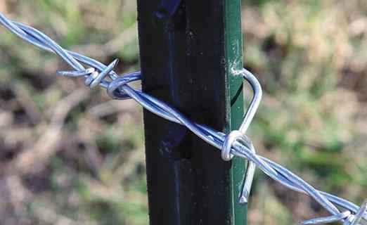 T-Posts