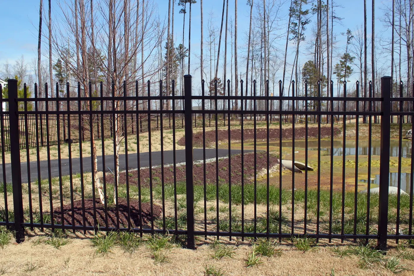 Catalyst Fence Accents photo