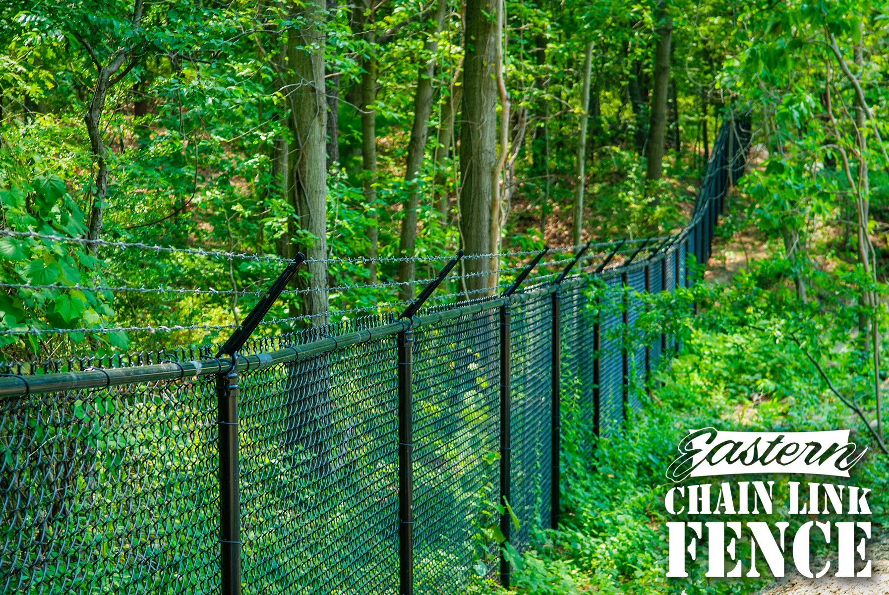 6 ft black System 21 chain-link fence in a wooded yard