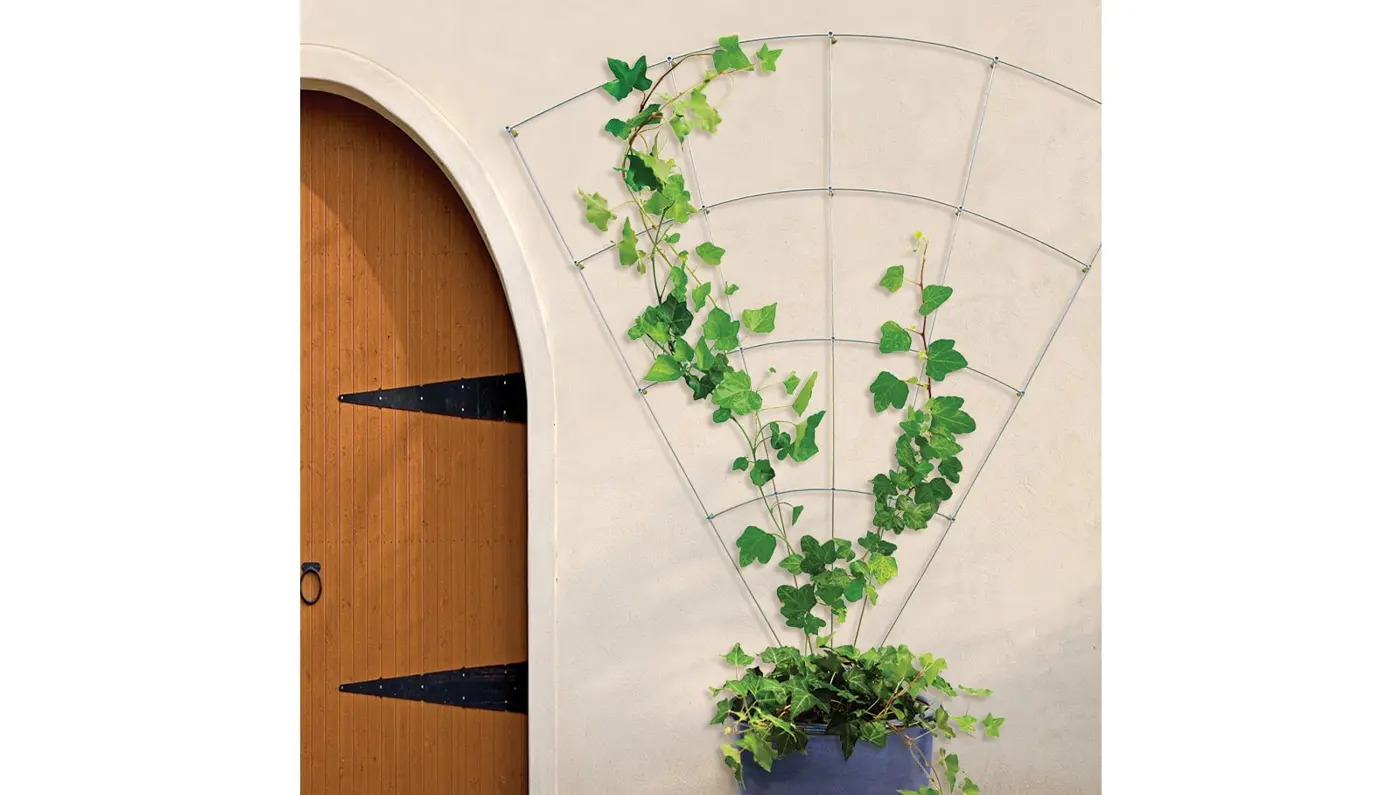 Feeney Somerset 3-in-1 Trellis photo