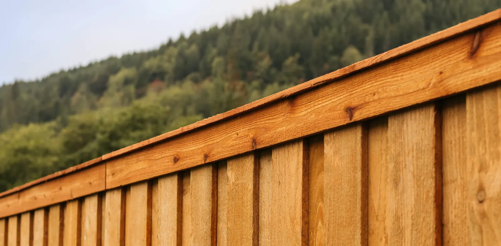 Cedar board-on-board fence