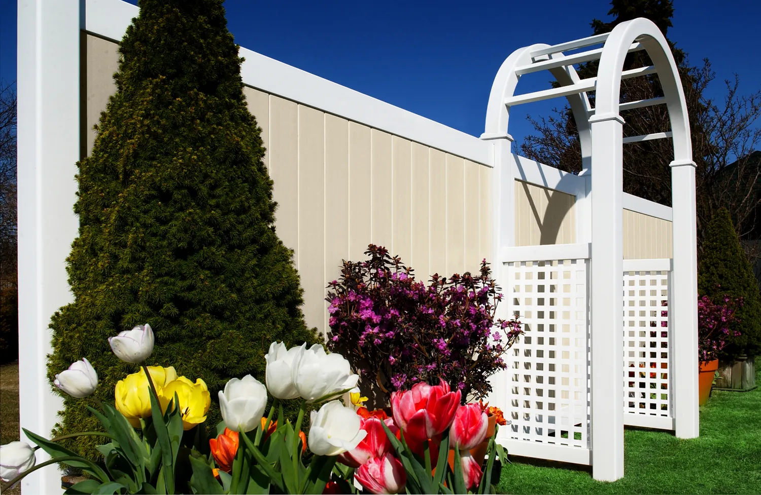 Vinyl privacy fence with an arched arbor and tulips