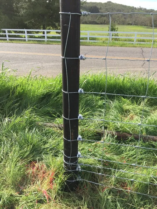 Wire fence on steel posts using Gripple tensioners