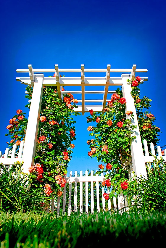 Illusions Pergola Kits