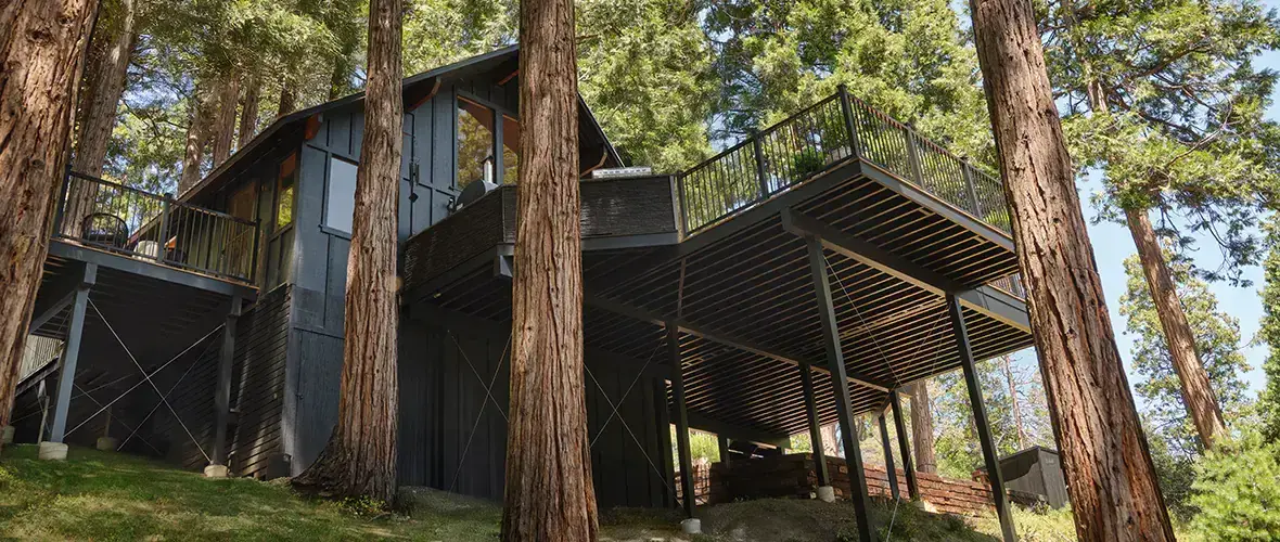 TimberTech aluminum deck framing under a treetop deck
