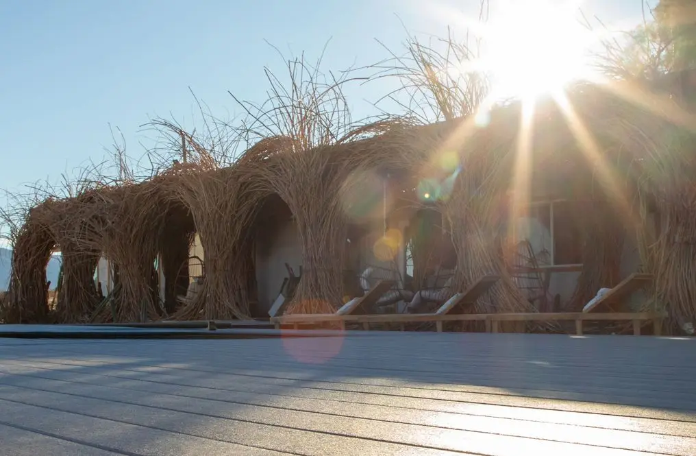 Trex Refuge™ PVC Decking refuge-001-mv-decking-beauty-nxwhere-birdhouse