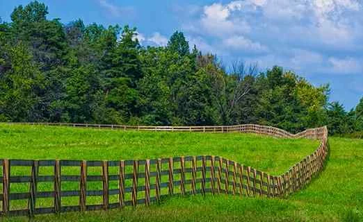 Split Rail & Specialty Wood (Poplar / Locust)