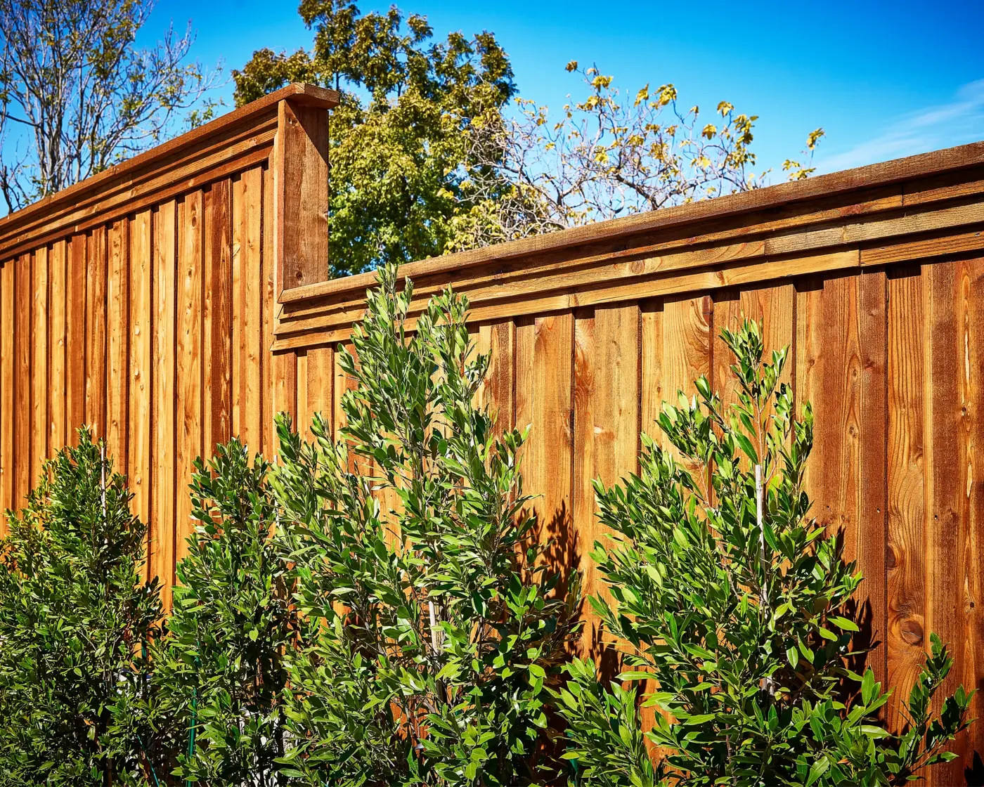 Tall stained cedar privacy fence with stepped top framing a landscaped backyard
